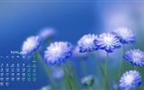 Mayo 2016 calendario de fondo de pantalla (1) #14