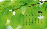 Mai 2016 calendrier fond d'écran (1) #19