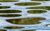 Abril de 2016 fondos de pantalla HD tema de Bing #8