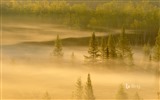 April 2016 Bing Thema HD-Wallpaper #14