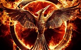 The Hunger Games: Fond d'écran HD Mockingjay #4