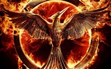 The Hunger Games: Mockingjay 饥饿游戏3：嘲笑鸟 高清壁纸4