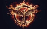The Hunger Games: Fond d'écran HD Mockingjay #5