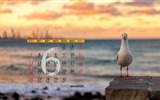 De junio de el año 2016 fondo de pantalla de calendario (1) #15