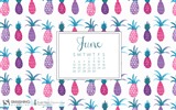 De junio de el año 2016 fondo de pantalla de calendario (2) #15