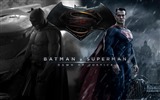 Batman v Superman: Dawn of Justice 蝙蝠侠大战超人：正义黎明 高清壁纸3