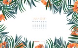 Julio 2016 fondo de pantalla de calendario (2) #20