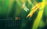 De agosto de el año 2016 fondo de pantalla de calendario (2) #2