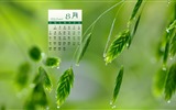 De agosto de el año 2016 fondo de pantalla de calendario (2) #6