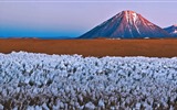 De junio de 2016 fondos de pantalla HD tema de Bing (1) #1