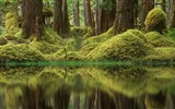 De junio de 2016 fondos de pantalla HD tema de Bing (2) #9