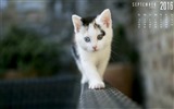2016年9月 月曆壁紙(一) #5