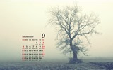 De septiembre de fondo de pantalla de calendario el año 2016 (2) #8