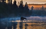 De julio de 2016 fondos de pantalla HD tema de Bing (2) #27