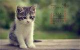 De octubre de el año 2016 fondo de pantalla de calendario (1) #8