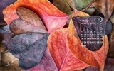 De octubre de el año 2016 fondo de pantalla de calendario (1) #9