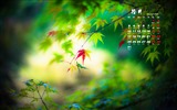 De octubre de el año 2016 fondo de pantalla de calendario (2) #3