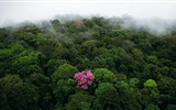 De agosto de 2016 fondos de pantalla HD tema de Bing (1) #6