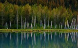 August 2016 Bing Thema HD-Wallpaper (2) #21