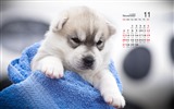 November 2016 calendar wallpaper (1) #13