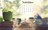 Fond d'écran calendrier Novembre 2016 (1) #18