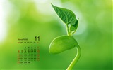 Fondo de escritorio del calendario de noviembre de 2016 (2) #6