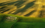 Septembre 2016 Bing thème Fonds d'écran HD (1) #12