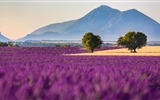 September 2016 Bing Thema HD Hintergrundbilder (1) #31