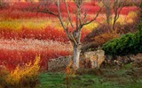 Septembre 2016 Bing thème Fonds d'écran HD (2) #11