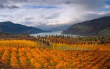 Octubre de 2016 Bing tema HD fondos de pantalla (1)