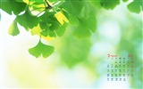 2017年3月 月历壁纸(一)4