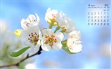 2017年4月 月历壁纸(一)3