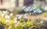 April 2017 calendar wallpaper (1) #5