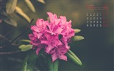 April 2017 calendar wallpaper (1) #7