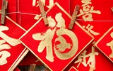2017年1月Bing主題的高清壁紙(二) #21