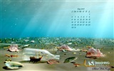 July 2017 calendar wallpaper #19