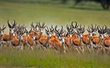 Marzo 2017 Bing tema de la alta definición de fondo de pantalla (1) #4