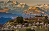 Marzo 2017 Bing tema de la alta definición de fondo de pantalla (2) #16