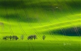 April 2017 Bing theme of high-definition wallpaper #22