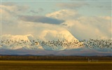 Mai 2017 Bing Thema der hochauflösenden Hintergrundbild #14