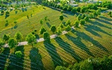 Mai 2017 Bing Thema der hochauflösenden Hintergrundbild #29