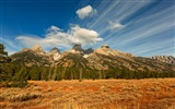 USA Grand Teton National Park nature landscape HD wallpapers #8