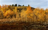 USA Grand Teton National Park nature landscape HD wallpapers #14