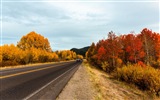 Paysage naturel de la nature dans le parc national des États-Unis d'Amérique, fonds d'écran HD #16