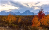 USA Grand Teton National Park nature landscape HD wallpapers #17