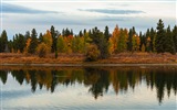 USA Grand Teton National Park nature landscape HD wallpapers #18
