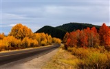 미국 그랜드 Teton 국립 공원 자연 풍경의 HD 월페이퍼 #19